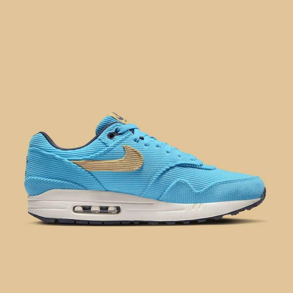 This Blue Nike Air Max 1 PRM 